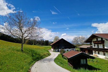 Rundwanderung Mooshöfe-Hasental-Teufelsmühle