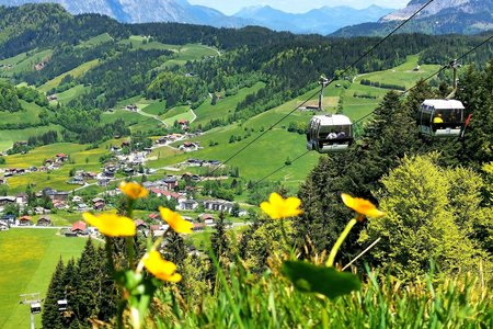 Sommer-Bergbahnen in Alpbachtal & Wildschönau