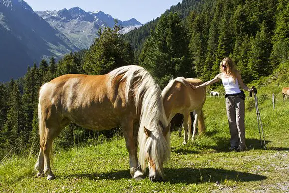 Bauernhöfe in Tirol