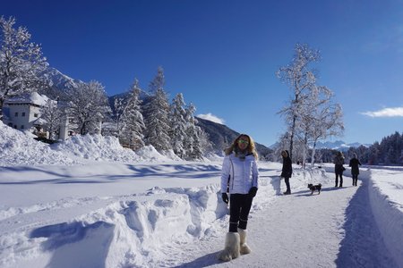 Wildsee & Pfarrhügel Winterrundwanderung