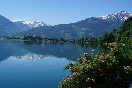 Rundwanderung Zeller See mit Thumersbacher Höhenpromenade