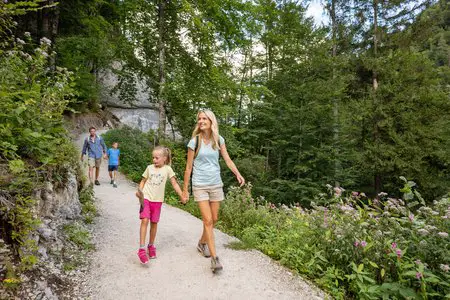 Eintauchen in sonnige Bergwelten - Sommer im Kaiserwinkl