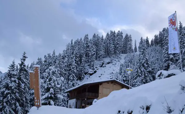 Milderaunalm von Oberegg/Krößbach