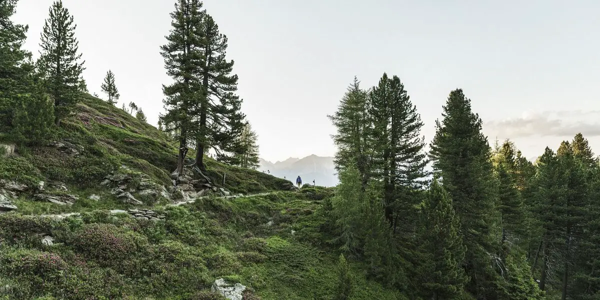 Der Zirbenweg im Inntal, Glungezer (c) Hall-Wattens