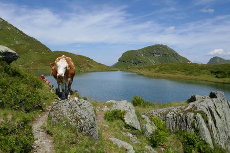 Hochtorsee & Toralm Rundwanderung