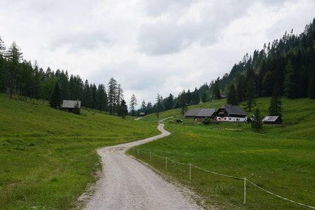 Von Ortsee über die Bodenalm nach Techendorf