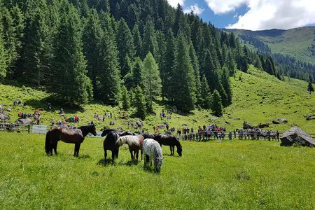 Unterer Grund von Kirchberg in Tirol