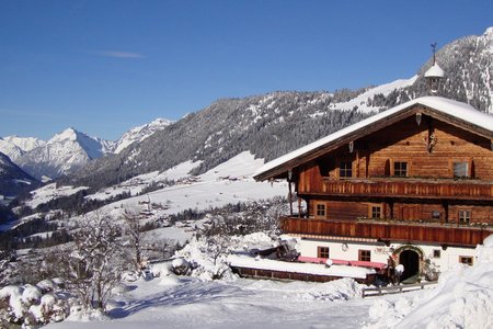 Alpengasthof Roßmoos*** - Alpbachtal