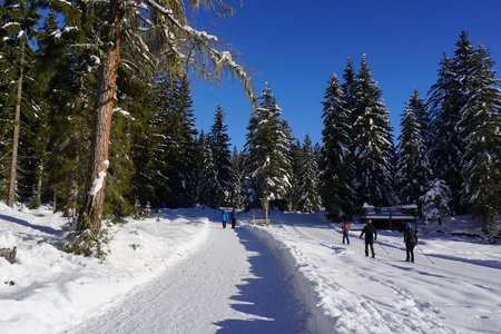 Wildmoos-Fludertal Rundwanderung von Seefeld