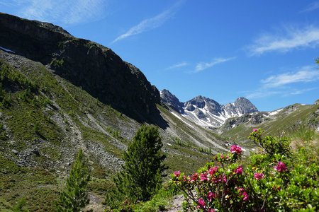 Vordere und Hintere Tumpenalm von der Armelenhütte