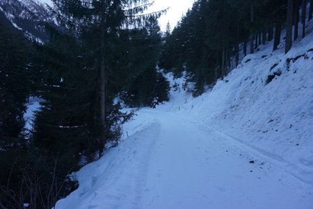 Naturrodelbahn Scheibe/Piösmes