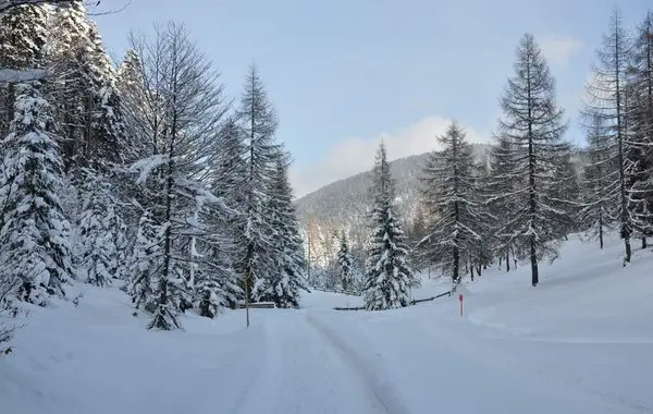 Langlaufen im Mühlviertel