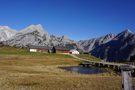 Walderalm-Rundwanderung von der Hinterhornalm