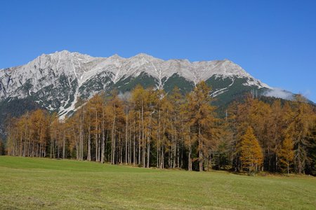 Lärchenwiesen-Rundwanderung am Holzleitensattel