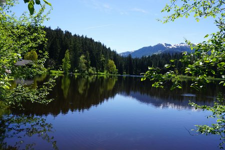 Bichlach – Das Weiher Paradies