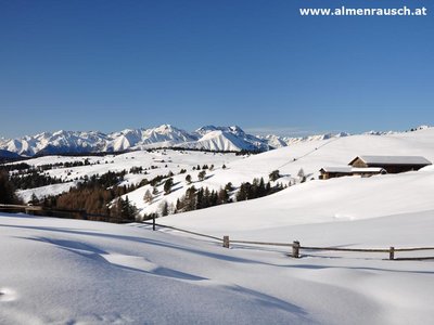 Lüsner Alm - Schneeschuhwandern