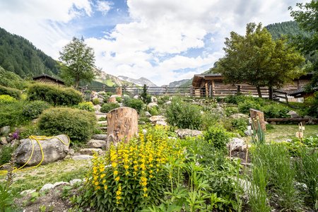 Der Alpenblumengarten in Schmirn