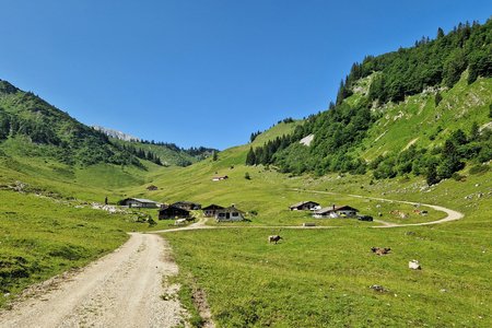 MTB-/E-Bike-Rundtour: Almkäserei Feldalm & Hageralm bei Walchsee