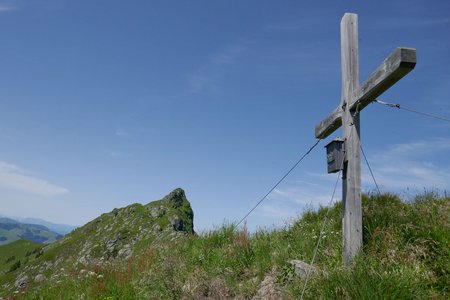 Weißkopfkogel (1970m) vom Parkplatz Wildalmgraben