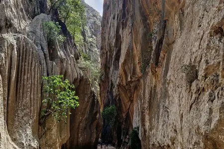 Von der Cala de sa Calobra zum Torrent de Pareis