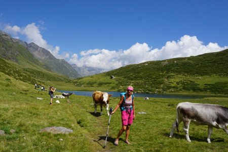 Tipps für Wanderungen in den Alpen