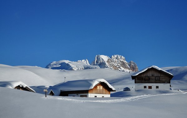 Sennesalm mit der Hohen Gaisl