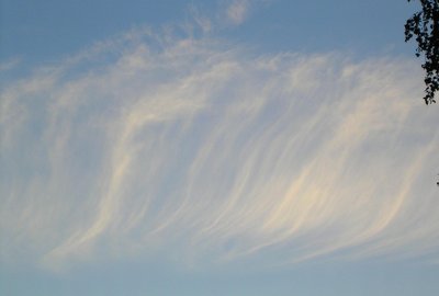Wolke Cirrus fibratus (c) Wikipedia CC BY-SA 3.0 - https://commons.wikimedia.org/w/index.php?curid=101260