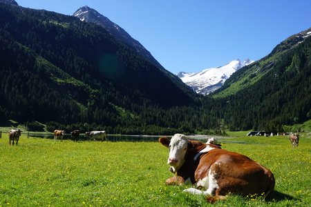 Seerundweg in der Finkau