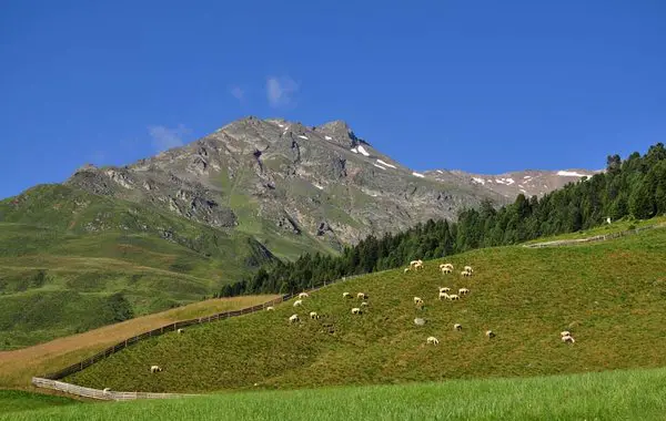 Blick von Praxmar auf den Oberstkogel