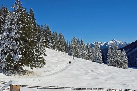 Winterwandern im Gaistal – Zwei Almen auf einer Rundtour