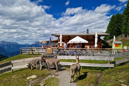 MTB- & E-Bike-Tour: Von Ochsengarten zur Kühtaile Alm