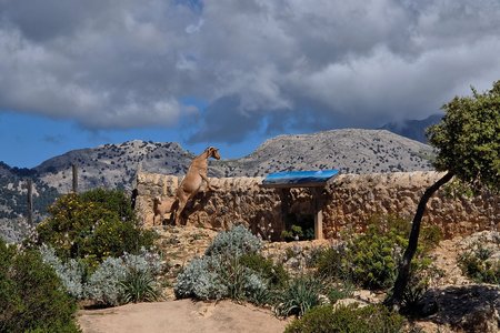 Puig d'Alaró und Castell d'Alaró: Wanderung von Orient