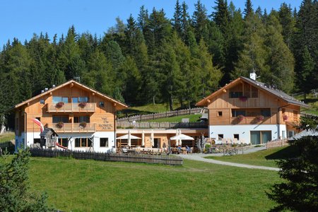 Roner Alm (1832 m) vom Parkplatz Zumis