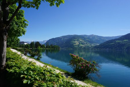 10 wunderschöne E-Bike-Routen durchs Salzburger Land