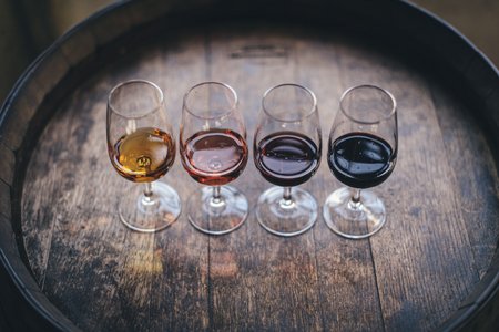 Wein 1x1: Was Sie über Weine wissen sollten, um den richtigen für Sie zu wählen