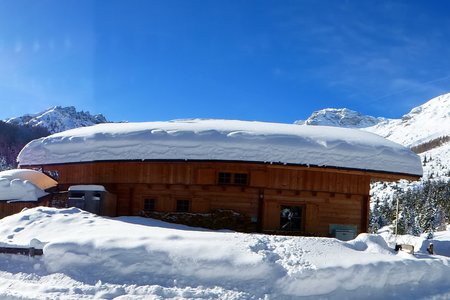 Matreier Ochsenalm, 1558 m - bei Maria Waldrast, Wipptal