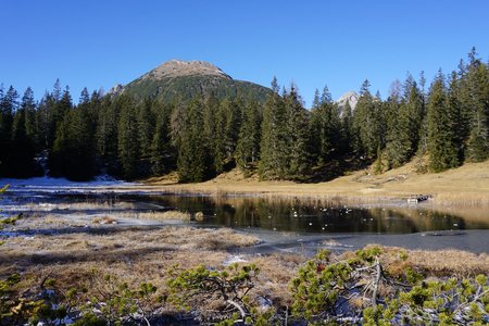 Rundwanderung Göfelesee – Kohlstatt Hochmoor vom Kappakreuz