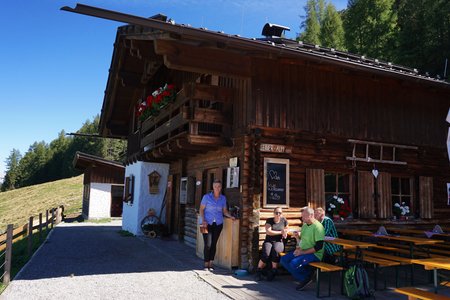 Leiner Alm von Wald im Pitztal