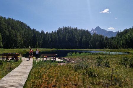 Brandsee (Amberger See) von der Sattelestraße