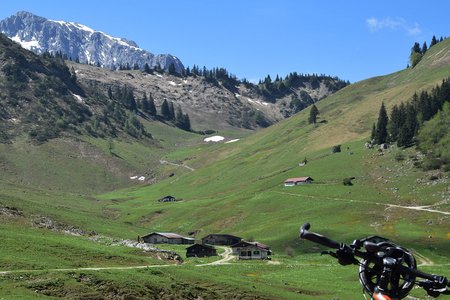 Feldalm von Walchsee