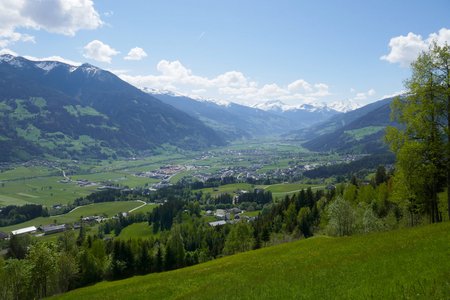 Fügen – Brandegg – Kühstein - Goglhof