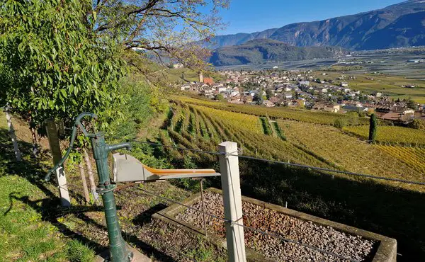 Gewürztraminer Weg von Tramin nach Runng