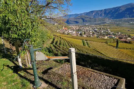 Gewürztraminer Weg von Tramin nach Runng