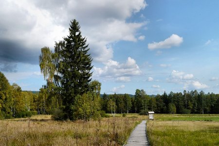 Familienurlaub in der Urlaubsregion Böhmerwald