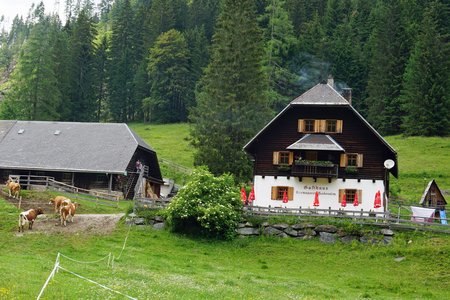 MTB-/E-Bike Tour: Von Techendorf zur Hermagorer Bodenalm