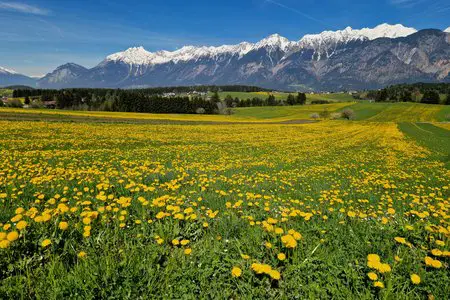 Poltental-Rundwanderung von Judenstein