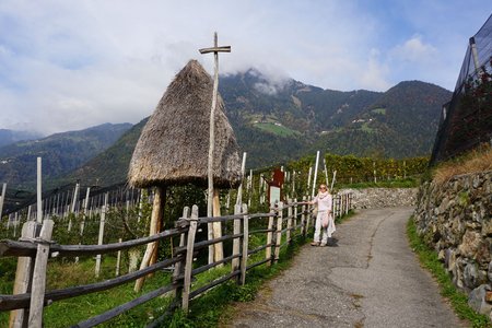 Weinweg in Dorf Tirol