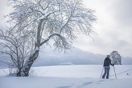 Sanfter Winter am Tor zu den Tiroler Alpen