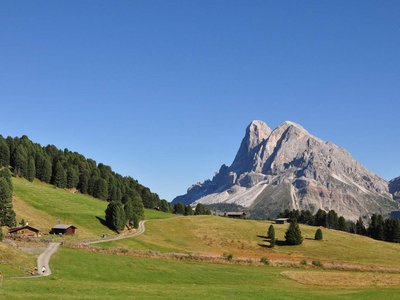 Gampenwiesen-Peitlerkofel