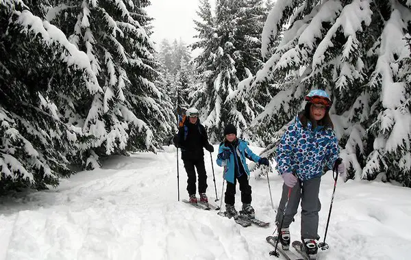 Sicherer Aufstieg durch den Wald